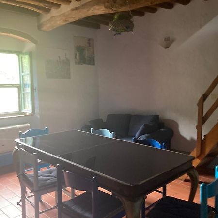 Agriturismo Le Colline Montescudaio Dış mekan fotoğraf