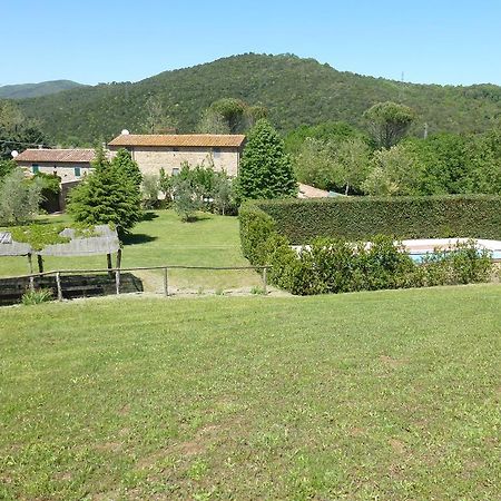 Agriturismo Le Colline Montescudaio Oda fotoğraf