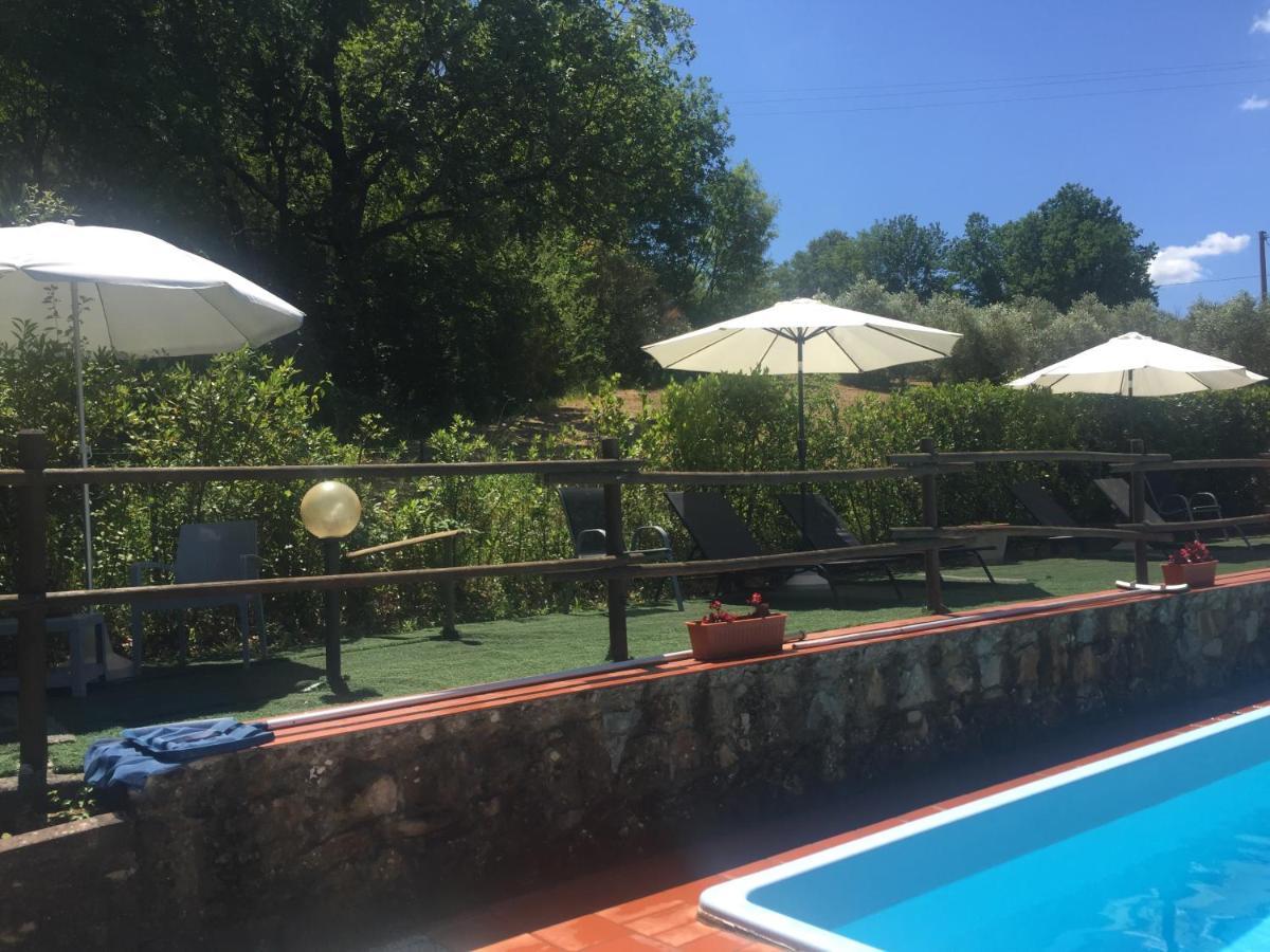 Agriturismo Le Colline Montescudaio Dış mekan fotoğraf