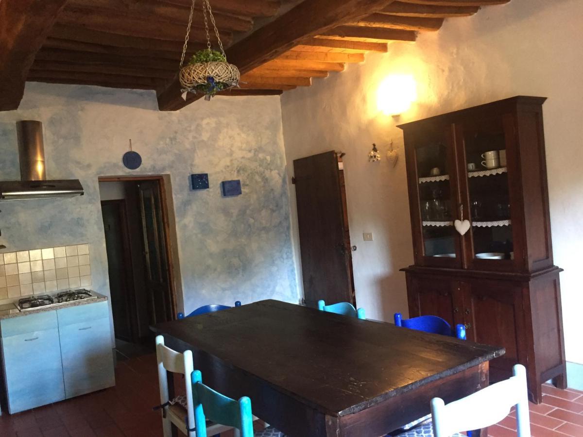 Agriturismo Le Colline Montescudaio Dış mekan fotoğraf