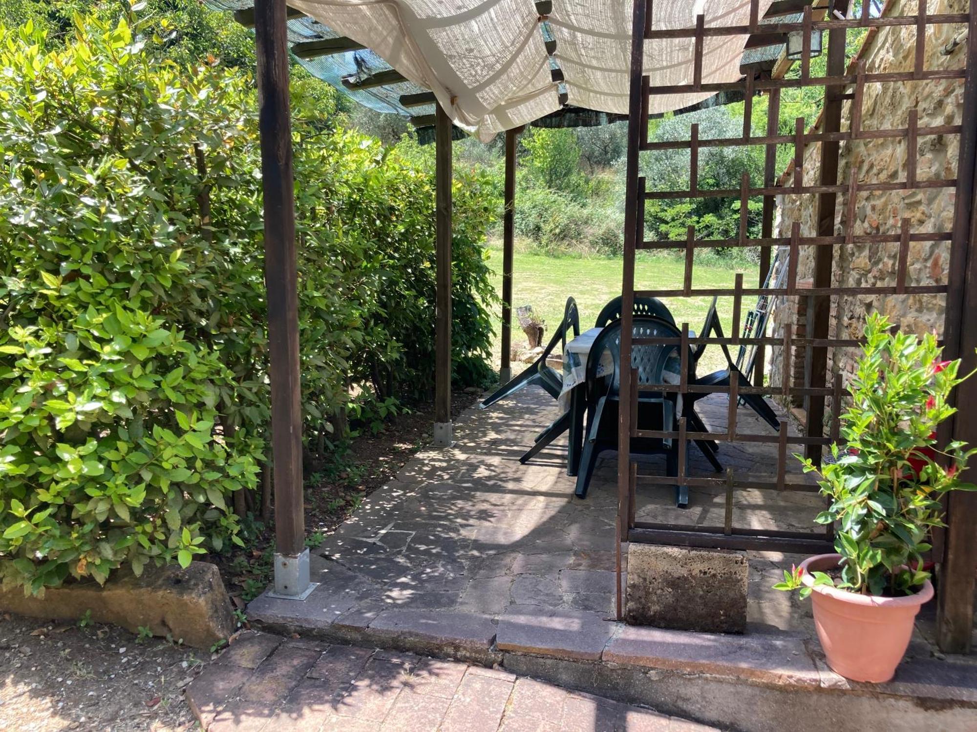 Agriturismo Le Colline Montescudaio Dış mekan fotoğraf