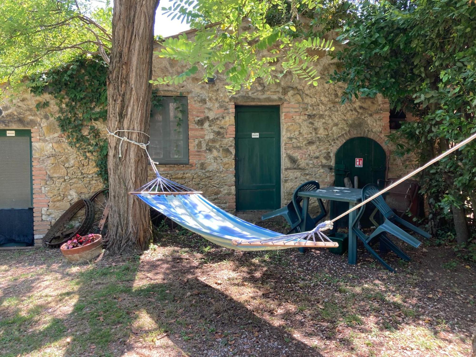Agriturismo Le Colline Montescudaio Dış mekan fotoğraf