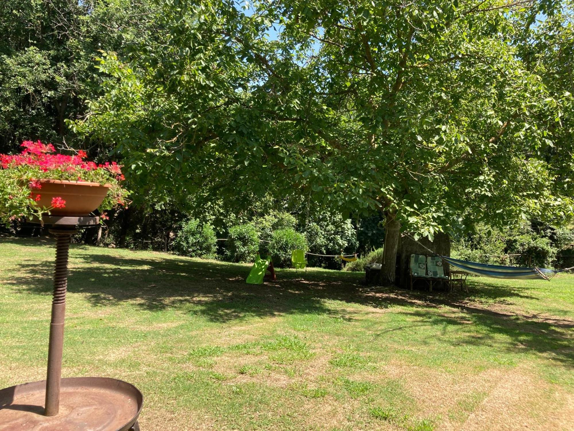 Agriturismo Le Colline Montescudaio Dış mekan fotoğraf