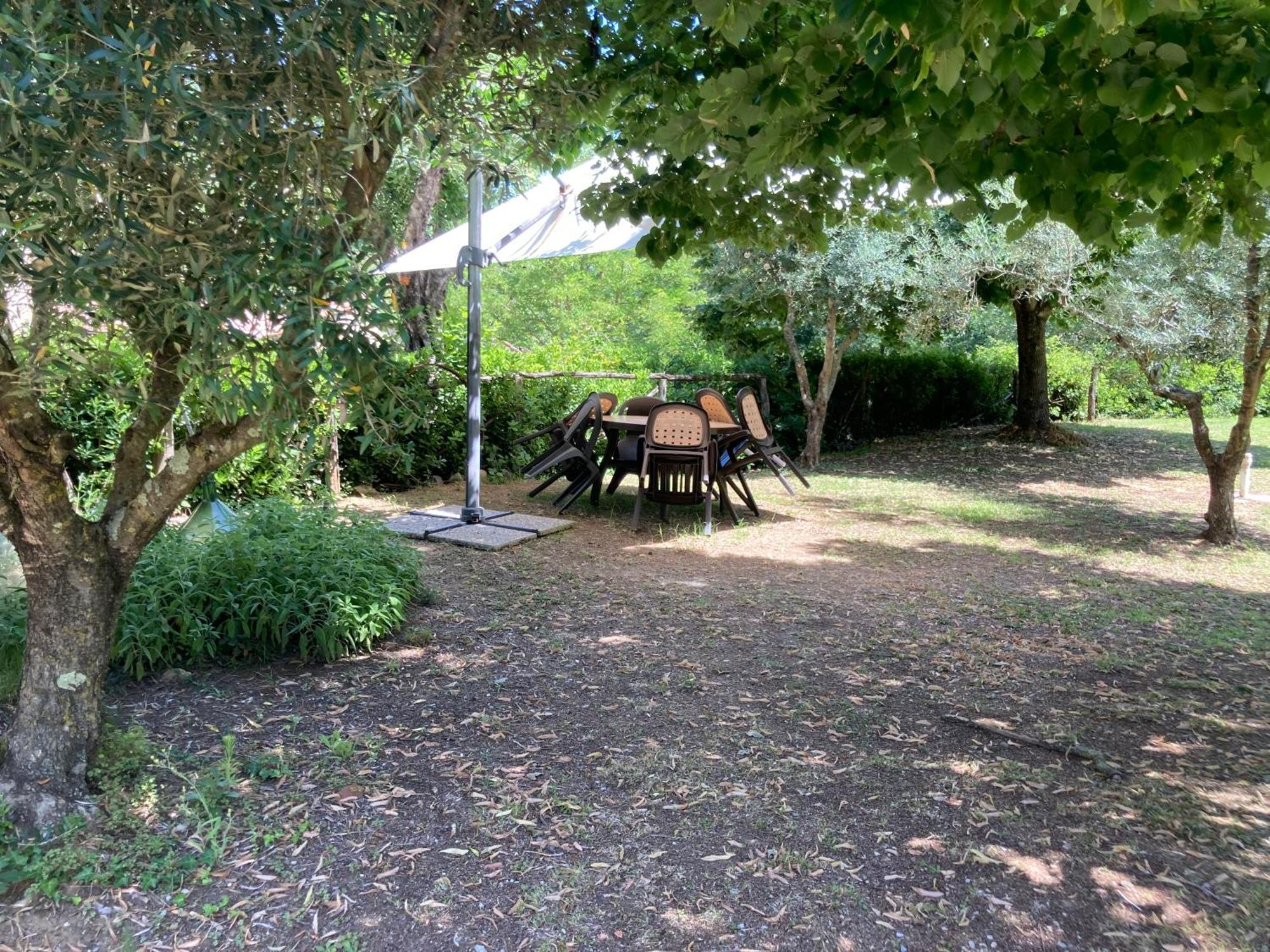 Agriturismo Le Colline Montescudaio Dış mekan fotoğraf