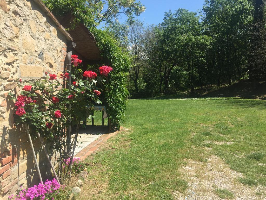 Agriturismo Le Colline Montescudaio Dış mekan fotoğraf